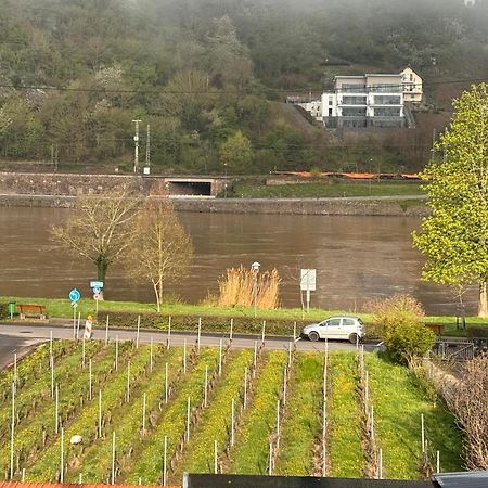 Hakans Moselblick Ferienwohnung Treis-Karden Bagian luar foto