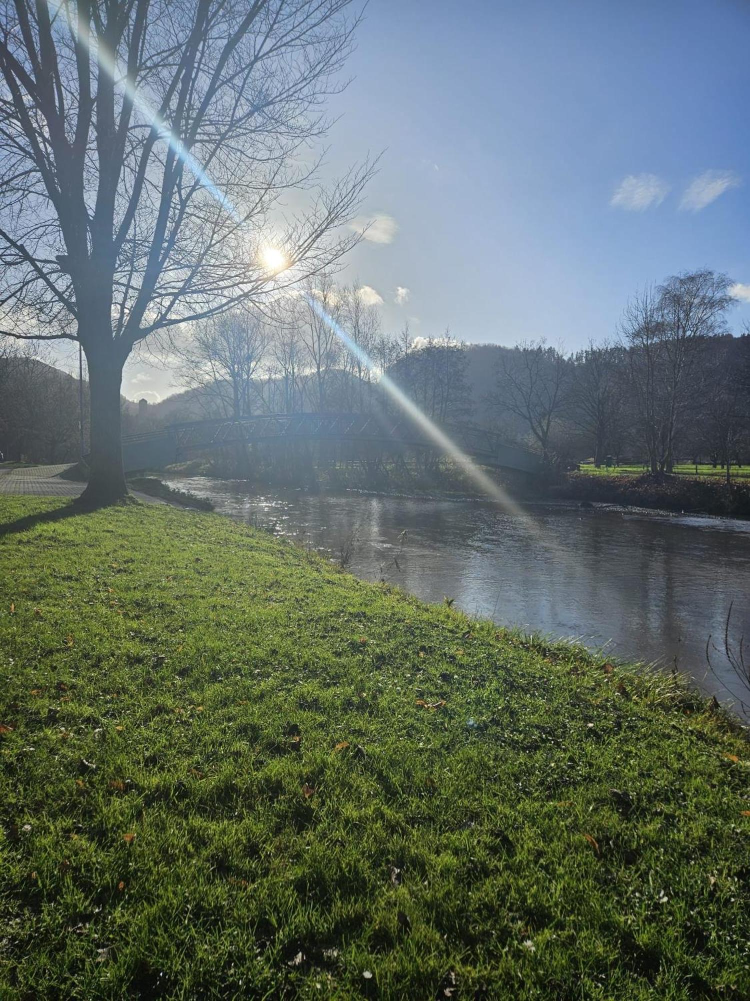 Hakans Moselblick Ferienwohnung Treis-Karden Bagian luar foto