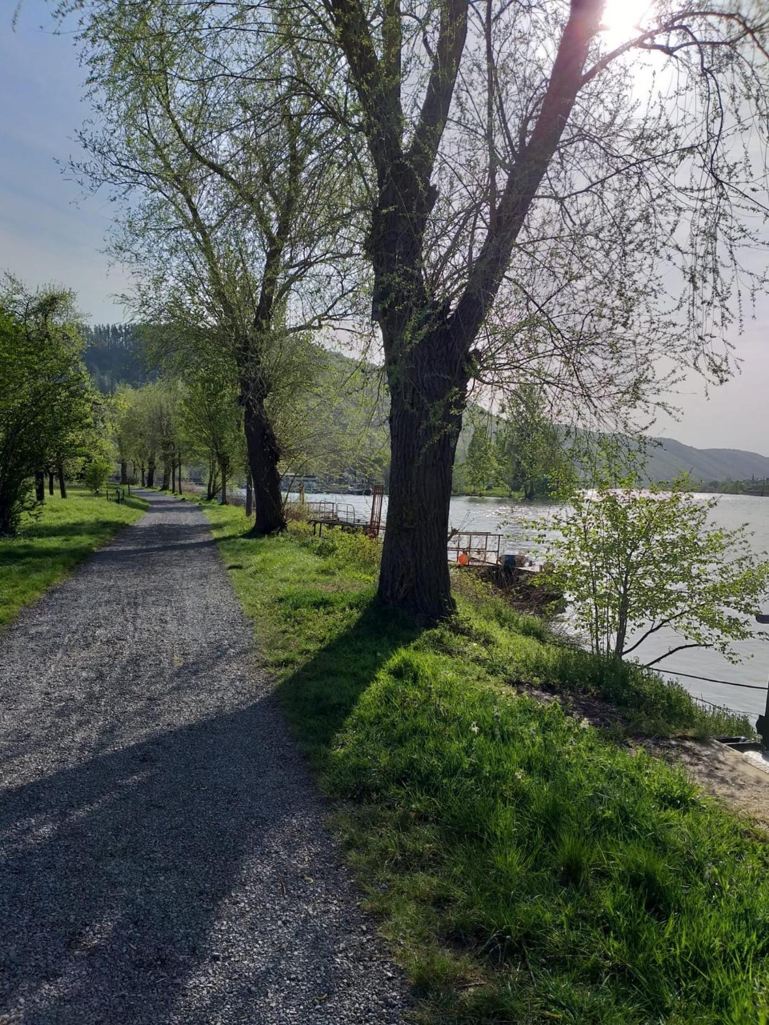 Hakans Moselblick Ferienwohnung Treis-Karden Bagian luar foto