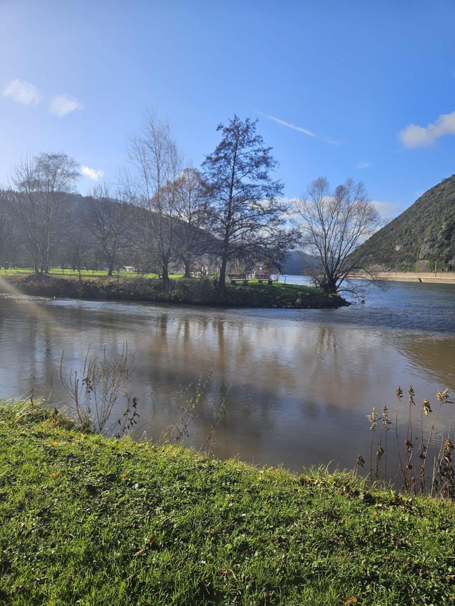 Hakans Moselblick Ferienwohnung Treis-Karden Bagian luar foto